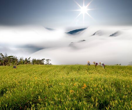 Dramatic clouds with mountain and treeの写真素材
