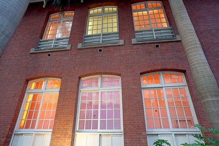 Colorful windows with green leafの写真素材