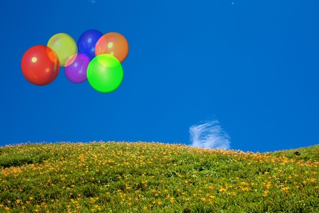 Beautiful balloon with blue sky and flowerの写真素材