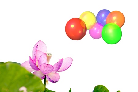 Beautiful balloon with blue sky and flowerの写真素材