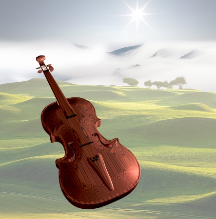 violins under the white background の写真素材