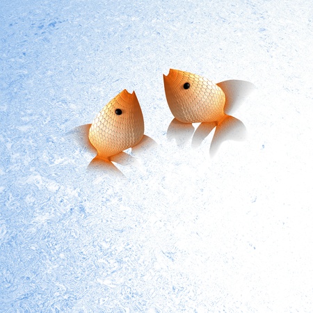 Gold fish for adv or others purposeの写真素材