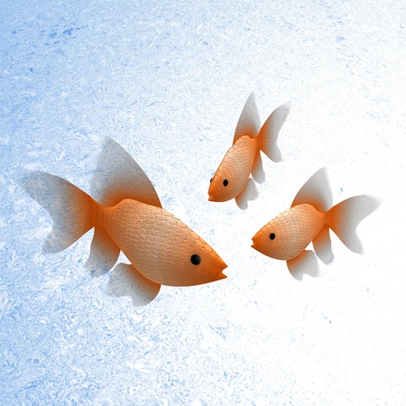 Gold fish for adv or others purposeの写真素材