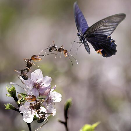 team work for adv or others purpose useの写真素材