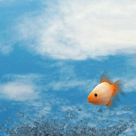 Water splash, fish and nice skyの写真素材