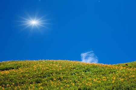 green field and blue sky の写真素材
