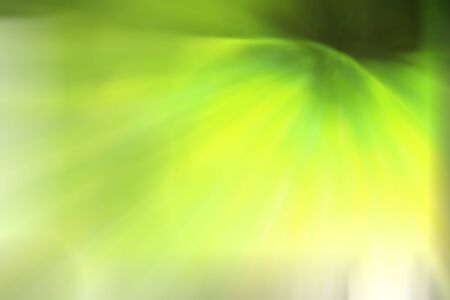 Abstract colorful background with flowers の写真素材