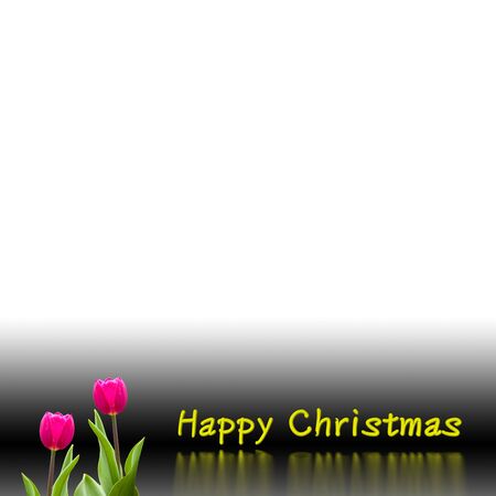 Christmas background design for adv or others purpose use の写真素材