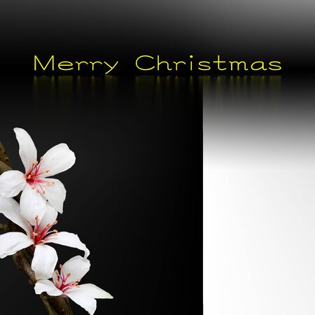 Christmas background design for adv or others purpose use の写真素材