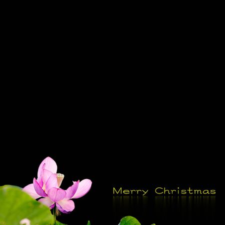 Christmas background design for adv or others purpose use の写真素材