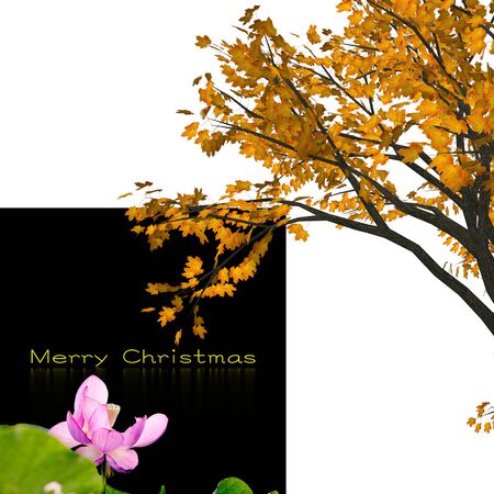Christmas background design for adv or others purpose use の写真素材