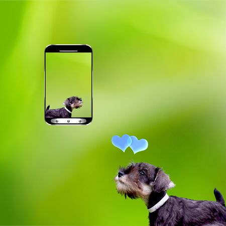 Desire a smart phone for adv or others purpose useの写真素材