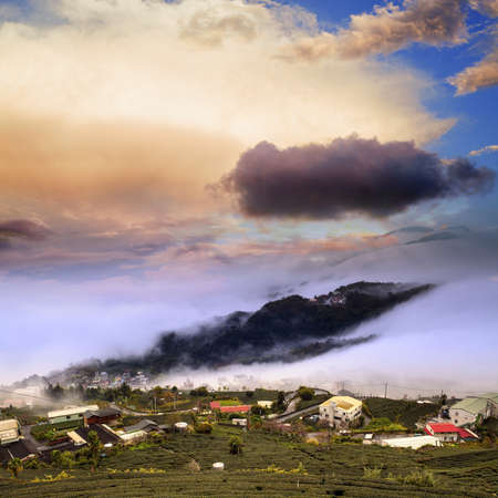 Amazing sunset and sea of cloud with mountains and treeの写真素材