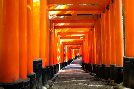 Fushimi Inari Taisha Shrine - Kyoto, Japan for adv or others purpose useのeditorial素材