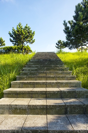 mountains landscape under morningの写真素材