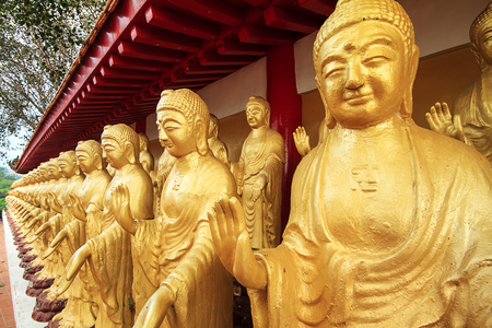 Trees District, Kaohsiung Taiwan - November 7  Fo Guang Shan Taiwan s largest Buddhist temple  Buddha Temple is a Mahayana Buddhist temple from the mountains were long Grand Master was founded in 1967のeditorial素材