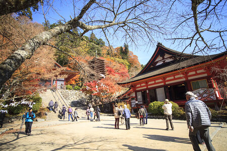 Autumn Japanese garden with mapleのeditorial素材