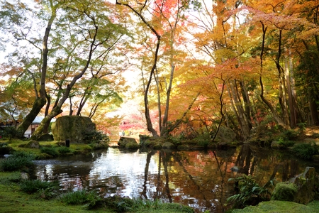  The fall season of Japan for adv or others purpose useの写真素材
