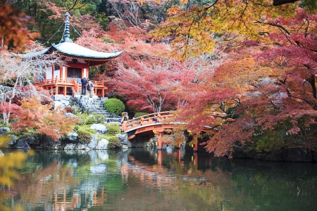 The fall season of Japan for adv or others purpose useのeditorial素材