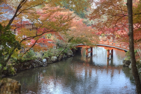  The fall season of Japan for adv or others purpose useの写真素材