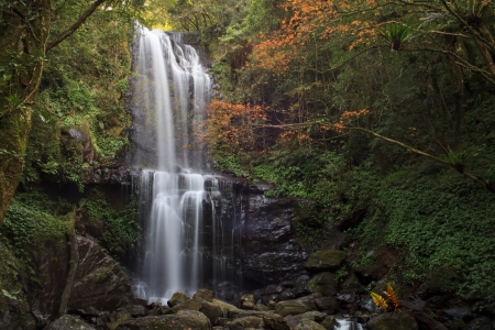 Waterfall with nice maple tree for adv or others purpose useの写真素材