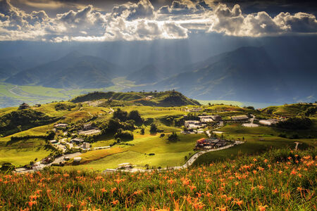 Daylily flower at sixty Stone Mountain in Taiwanの写真素材