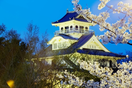 Blossoming cherry trees in an ornamental garden, pastel colors with dreamy feelのeditorial素材