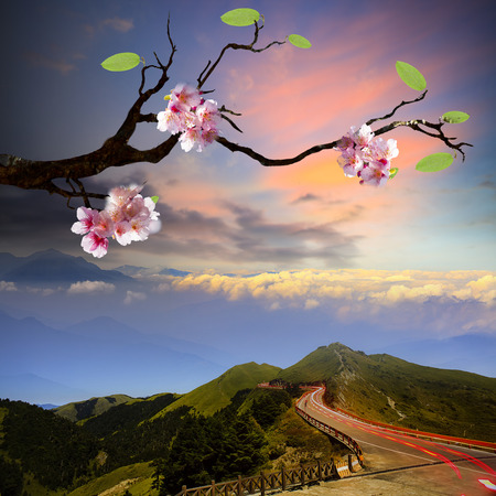 Beautiful flowering Japanese cherry Sakura with mountains sceneryの写真素材