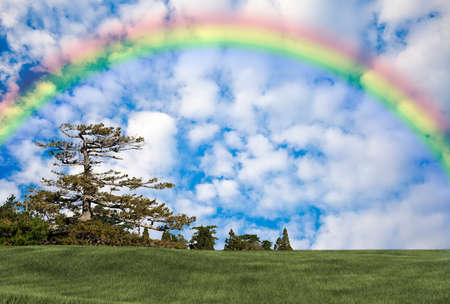 lush grass field with rainbow and cloudy blue skyの写真素材