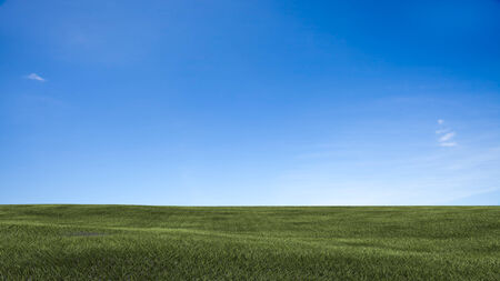 Field of green grass and skyの写真素材