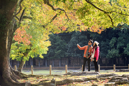 Nara, Japan - November 21, 2013  Visitors feed wild deer on November 21, 2013 in Nara, Japan  Nara is a major tourism destination in Japan - former capita city and currently UNESCO World Heritage Siteのeditorial素材