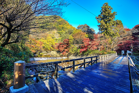 Kojyoin Tsukimido in Achi village, Nagano, Japanのeditorial素材