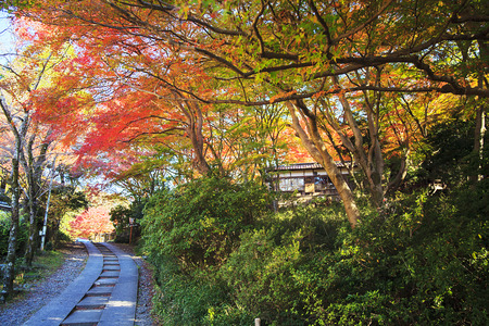 Kojyoin Tsukimido in Achi village, Nagano, Japanのeditorial素材