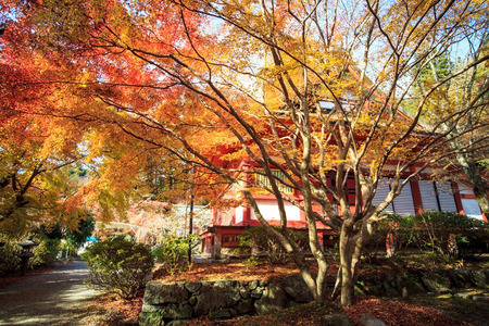 Nara, Japan - November 27, 2013  Tanzan Shrine , also known as the Danzan Shrine, is a Shinto shrine in Sakurai, Nara Prefecture, Japanのeditorial素材