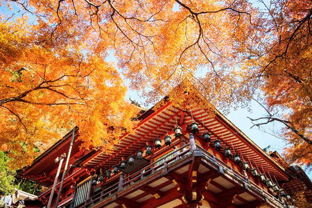 Nara, Japan - November 27, 2013  Tanzan Shrine , also known as the Danzan Shrine, is a Shinto shrine in Sakurai, Nara Prefecture, Japanのeditorial素材