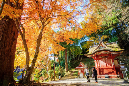 Nara, Japan - November 27, 2013  Tanzan Shrine , also known as the Danzan Shrine, is a Shinto shrine in Sakurai, Nara Prefecture, Japanのeditorial素材