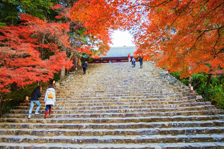 Kyoto, Japan - November 20, 2013 Stairs of Jingo-ji Buddhist temple in Kyoto. It stands on Mount Takao to the northwest of the center of the cityのeditorial素材