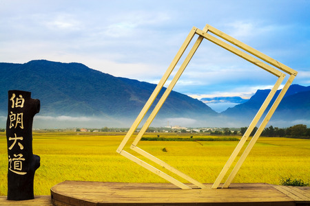 Paddy field for adv or others purpose useのeditorial素材