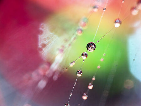 Abstract background. Drops of water for adv or others purpose useの写真素材