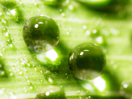 Abstract background. Drops of water for adv or others purpose use