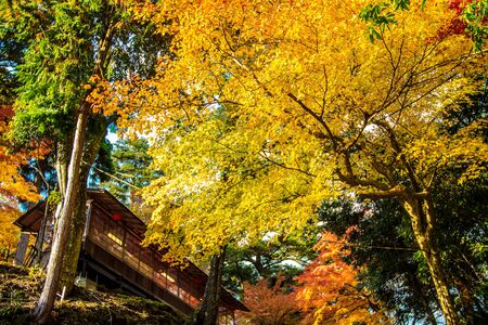 Kyoto, Japan - November 20, 2013: Jingo-ji is a Buddhist temple in Kyoto. It stands on Mount Takao to the northwest of the center of the cityのeditorial素材
