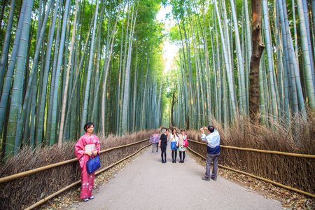 Kyoto, Japan - April 14, 2013: The bamboo forest of Kyoto, Japanのeditorial素材