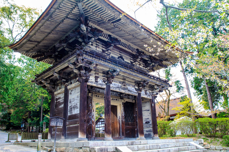 Old temple with nice sakura flower for adv or others purpose useのeditorial素材