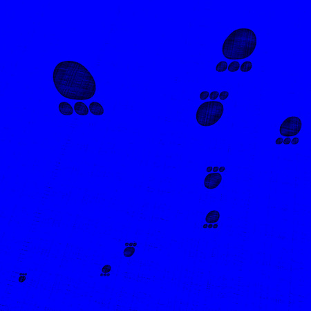 Dog footprint for adv or others purpose useの写真素材