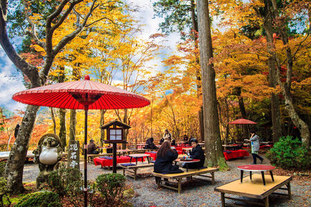 Kyoto, Jpana - November 20, 2013: Red leaves of the maple in autumn for adv or others purpose useのeditorial素材