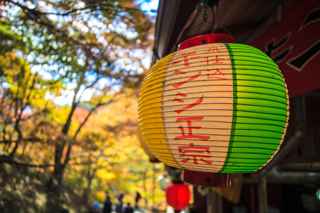 Kyoto, Jpana - November 20, 2013: Red leaves of the maple in autumn for adv or others purpose useのeditorial素材