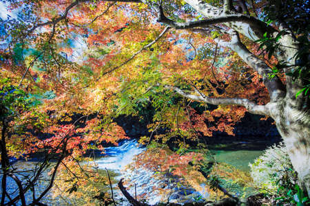 Mount Hiei, Japan - Nov 22, 2013: The Mount Hiei scenery in Kyoto, Japanのeditorial素材