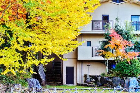 Mount Hiei, Japan - Nov 22, 2013: The Mount Hiei scenery in Kyoto, Japan