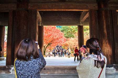 Kyoto, Japan - Nov 26, 2013 : red japanese maple autumn fall , momiji tree in kyoto japanのeditorial素材