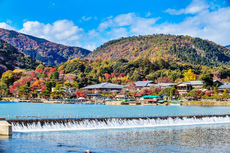 red japanese maple autumn fall , momiji tree in kyoto japanのeditorial素材